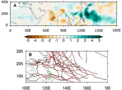 Anthropogenically-forced weakening of the Indian summer monsoon and enhancement of the western North Pacific tropical cyclogenesis